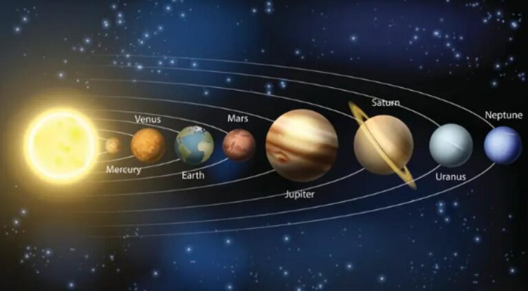 image (3)