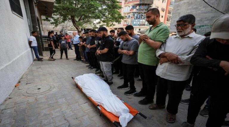 image (36)