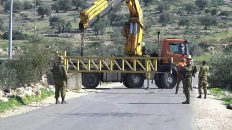 2cc681883246c710bd573d73661a233b_1150_thumb